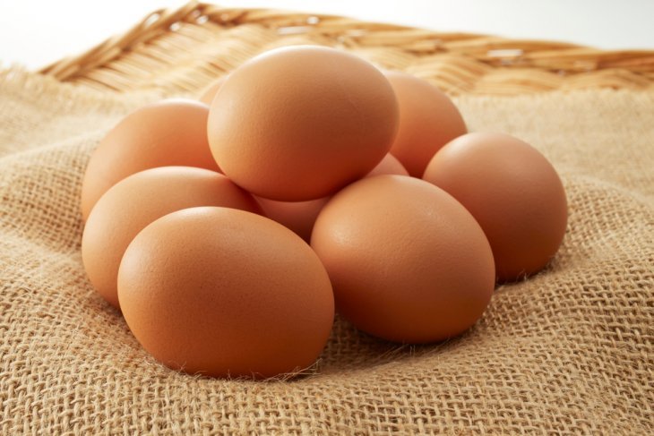 Apa itu diet telur?