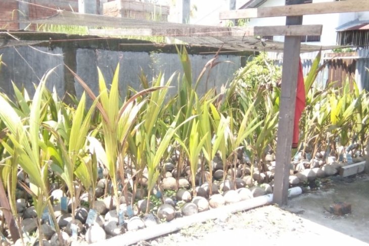 Peran Iptek bantu atasi permasalahan pembangunan berkelanjutan