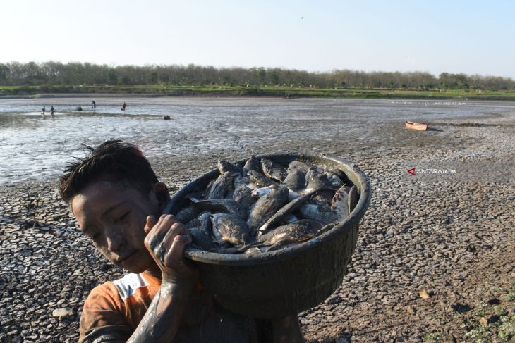 Mencari Ikan Di Waduk Kering