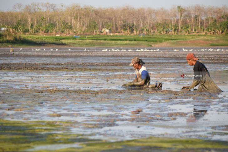 Mencari Ikan Di Waduk Kering