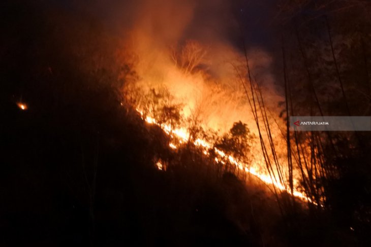 Kebakaran Hutan Jati