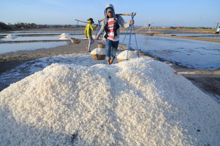 Pencapaian Produksi Garam