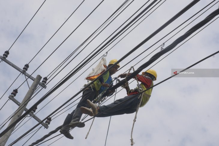 Perawatan Jaringan Listrik PLN