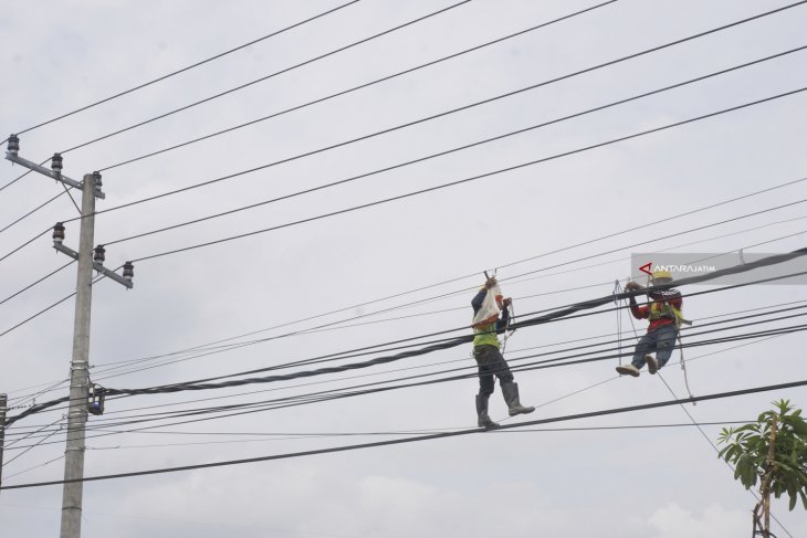 Perawatan Jaringan Listrik PLN