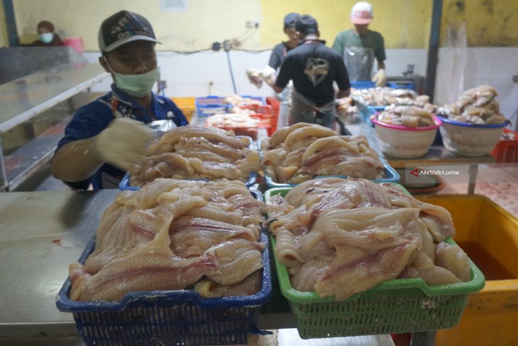 Produksi Fillet Ikan Patin