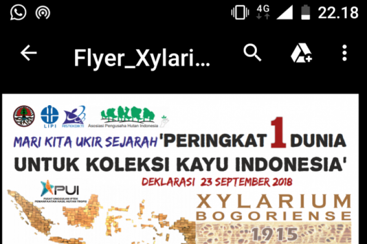 Koleksi kayu Indonesia peringkat pertama terbanyak dunia