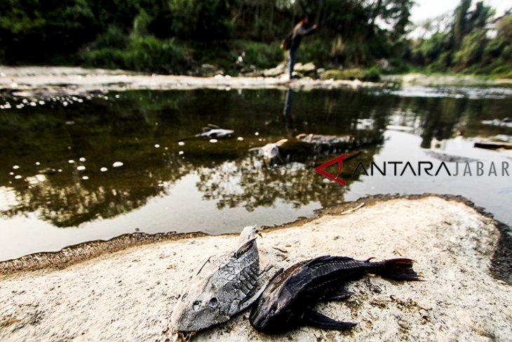 Sungai Cileungsi tercemar limbah