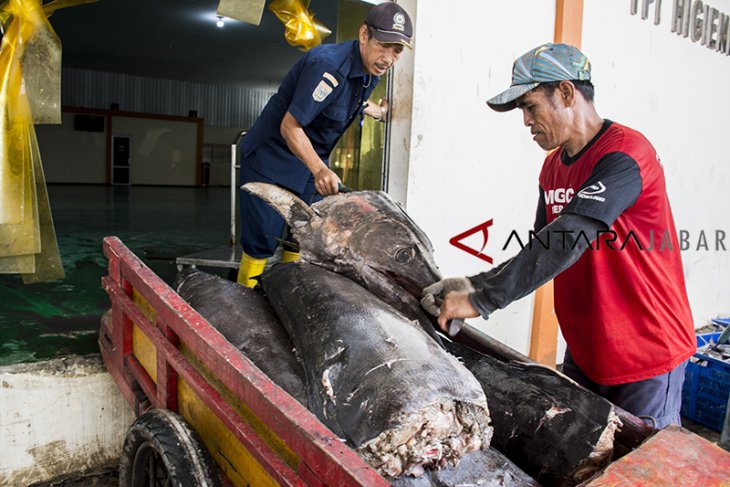 Target produksi ikan tangkap Indonesia