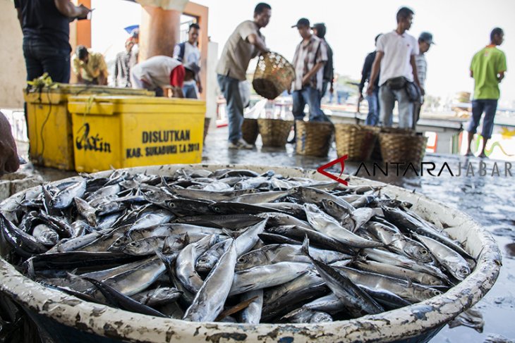 Target produksi ikan tangkap Indonesia