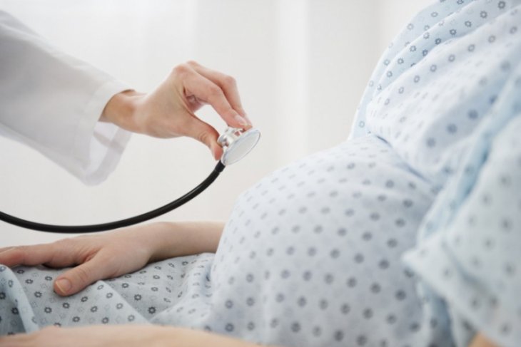 Thousands of midwives will succeed Healthy South Kalimantan: IBI