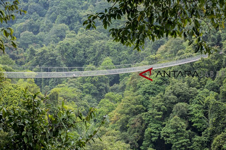 Jembatan gantung Situ Gunung