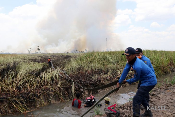 Kebakaran di Areal Lahan HPS di Jejangkit