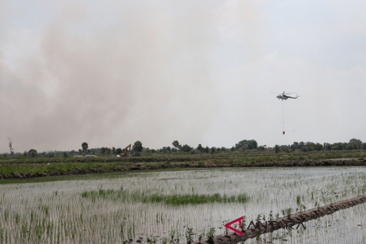 Kebakaran di Areal Lahan HPS di Jejangkit