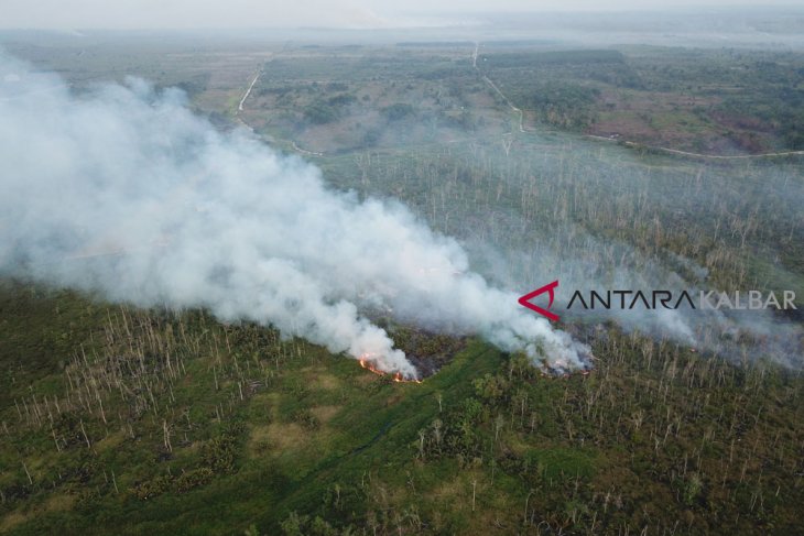 Foto Udara Kebakaran Hutan Ketapang