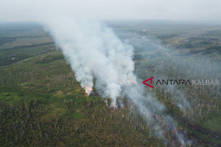 Foto Udara Kebakaran Hutan Ketapang