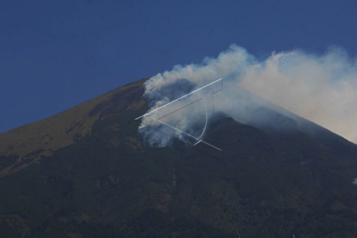 Kebakaran hutan di gunung Sindoro