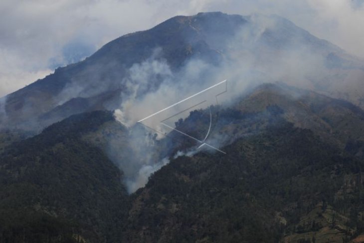 Kebakaran hutan gunung Sumbing