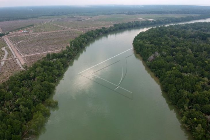 Cagar alam hutan mangrove teranca,