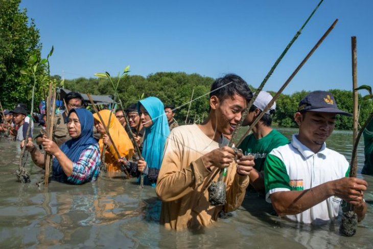 Aksi penanaman pohon bakau