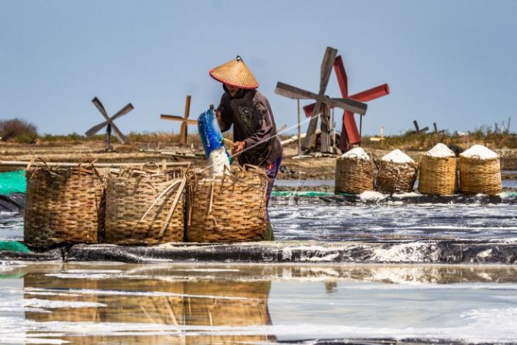 Produksi garam nasional