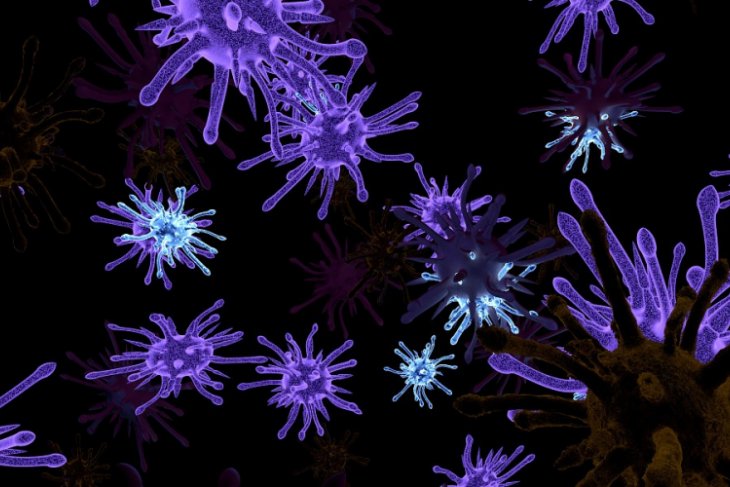 Masyarakat harus waspada Hepatitis A mudah menular