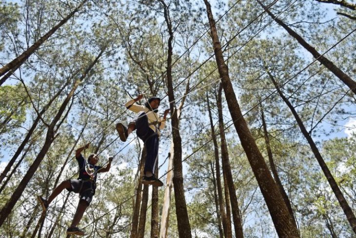 Wisata hutan pinus