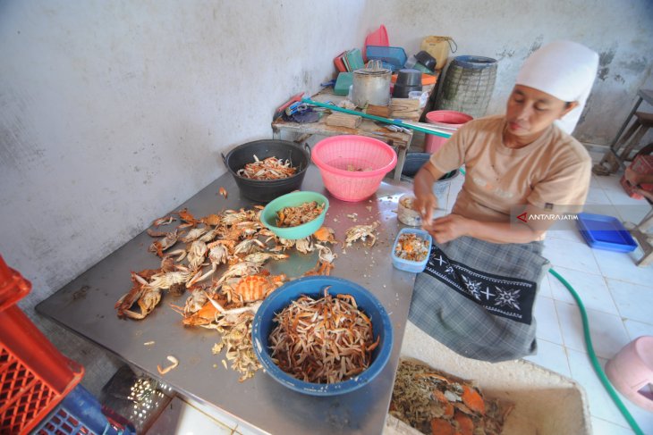 Produksi Daging Rajungan