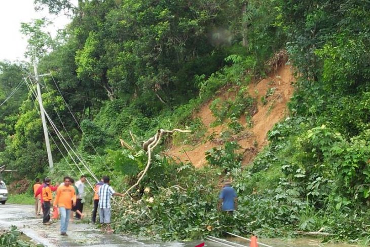 BPBD: Longsor akibatkan empat tiang PLN tumbang