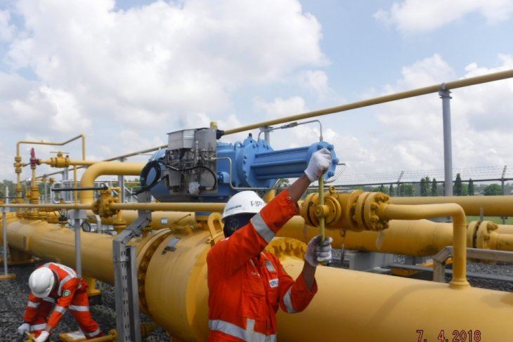PGN commences 367-km crude oil pipeline construction in Rokan Block