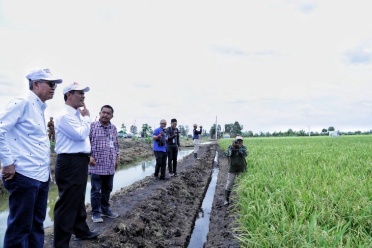 World Food Day momentum for Indonesia to become world's food barn