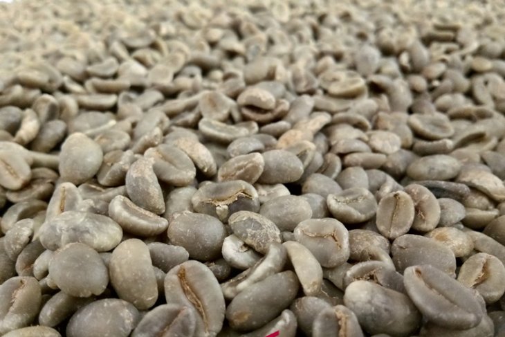 Green Bean Tabo kopi Sipirok ke tingkat nasional