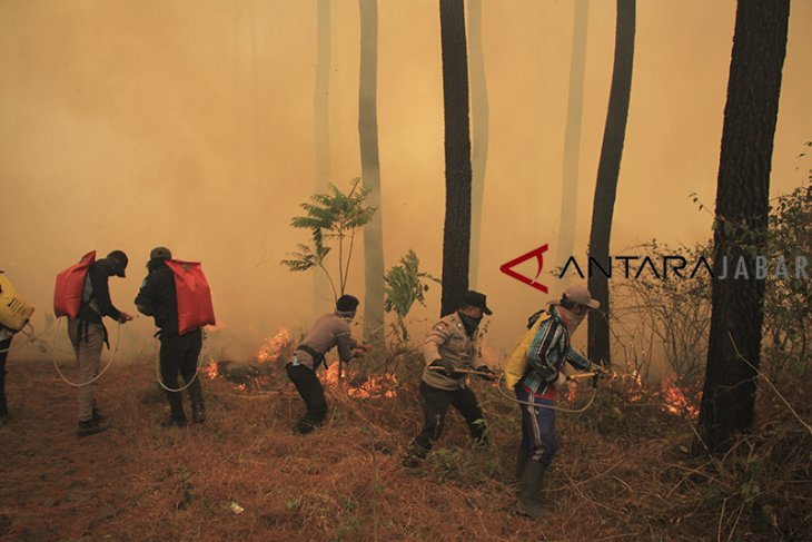 Kebakaran gunung Ciremai