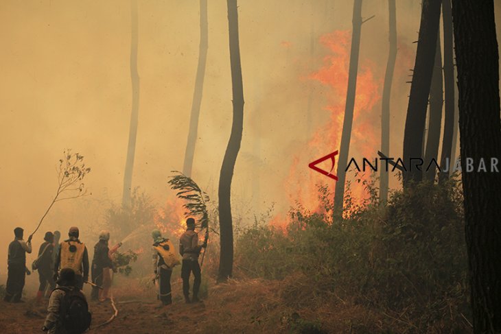 Kebakaran gunung Ciremai