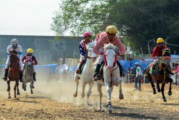 Kejuaraan Pacuan Kuda