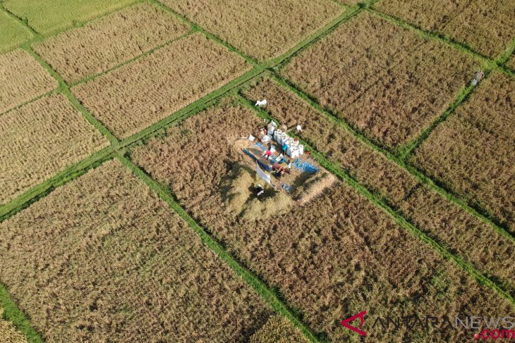 Making Indonesia the world`s food barn