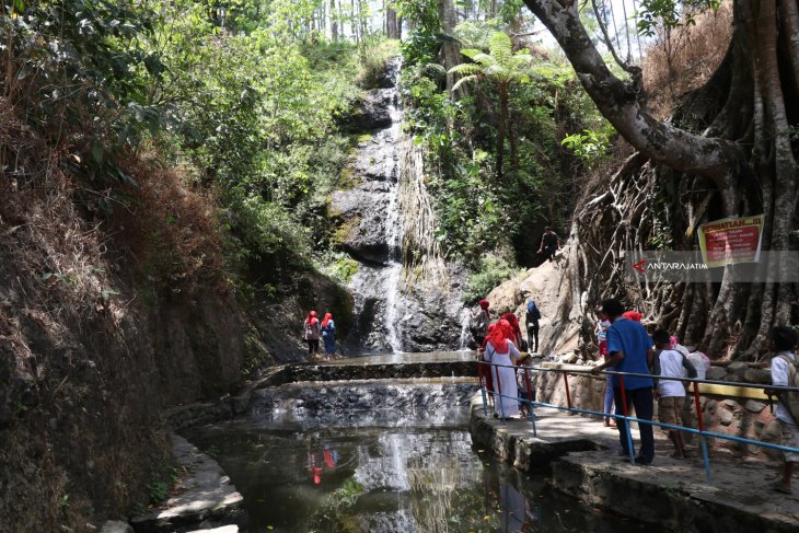 Wisata Air Terjun Roro Kuning