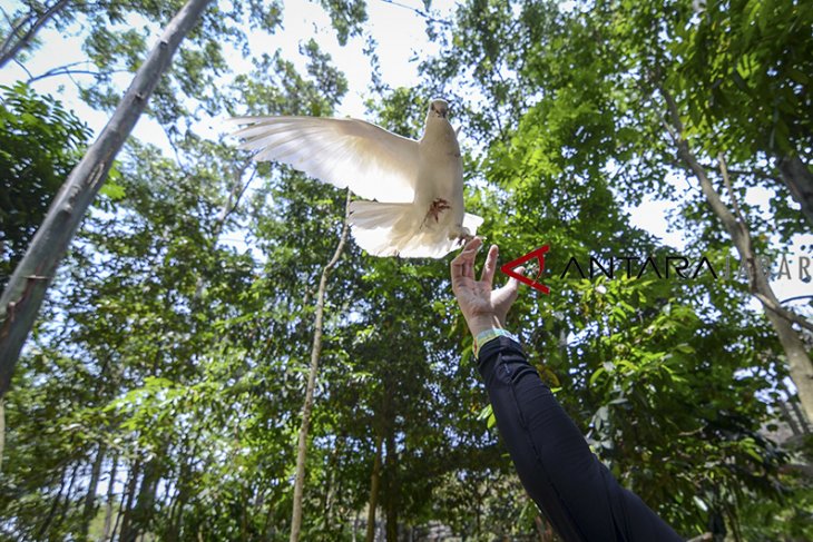 Wisata taman burung di Bandung