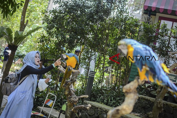 Wisata taman burung di Bandung