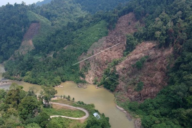 Pembalakan Taman Nasional Kerinci Seblat