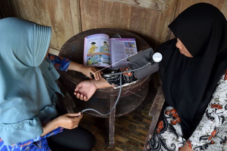 Program gerakan ibu anak sehat