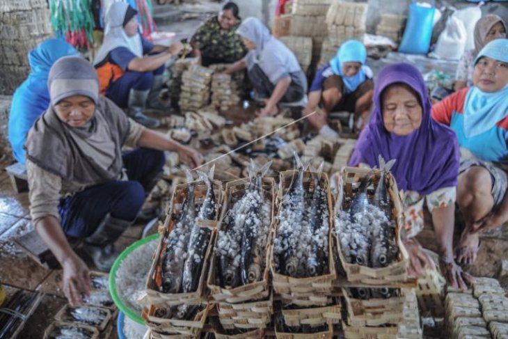 Produksi ikan pindang