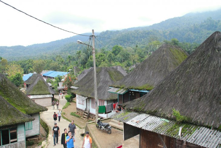 Rumah Ijuk Mandailing Natal