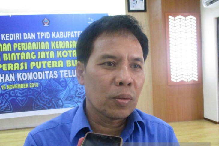 Bulog Kediri Prediksi Panen Raya Mundur karena Kemarau Panjang