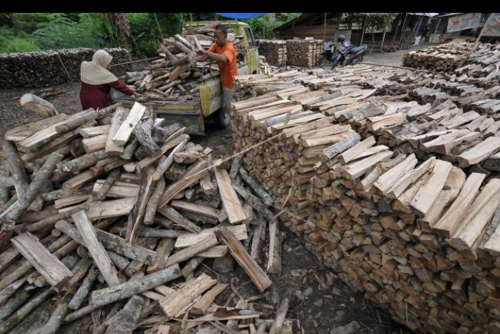 Warga Wondama kembali memanfaatkan kayu  bakar  ANTARA 