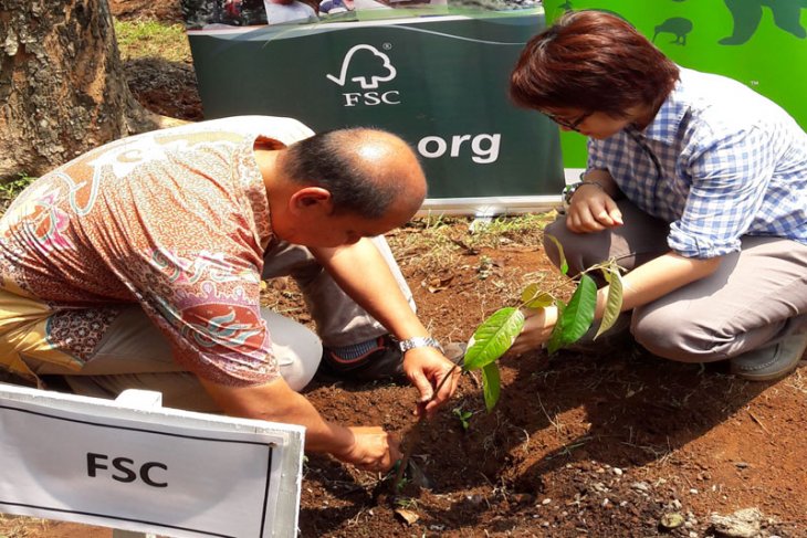 FSC memperingati Hari Pohon Sedunia