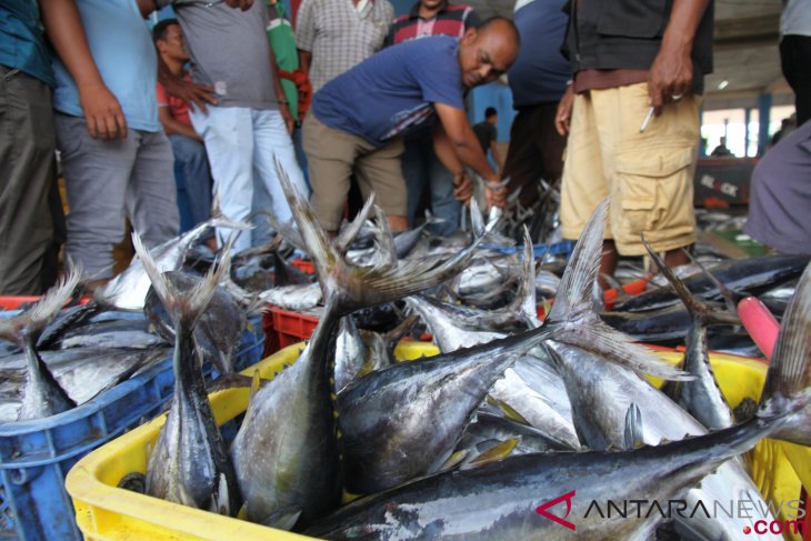 Acehnese fishermen captured in Myanmar`s waters did not steal fish
