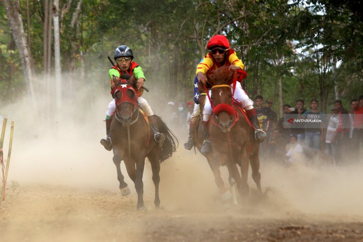 Pacuan Kuda Banyuwangi