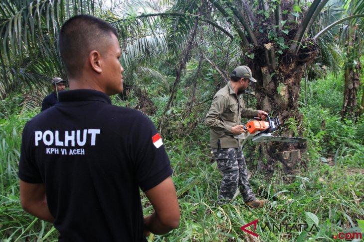 Germany supports Indonesia'`s sustainable palm oil development