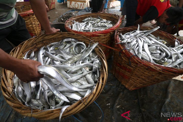 Year ender - World to rely more on aquaculture for fish supply By Muhammad Razi Ra