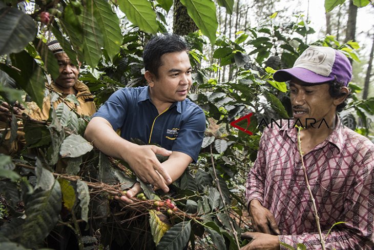 KUR pemberdayaan petani kopi